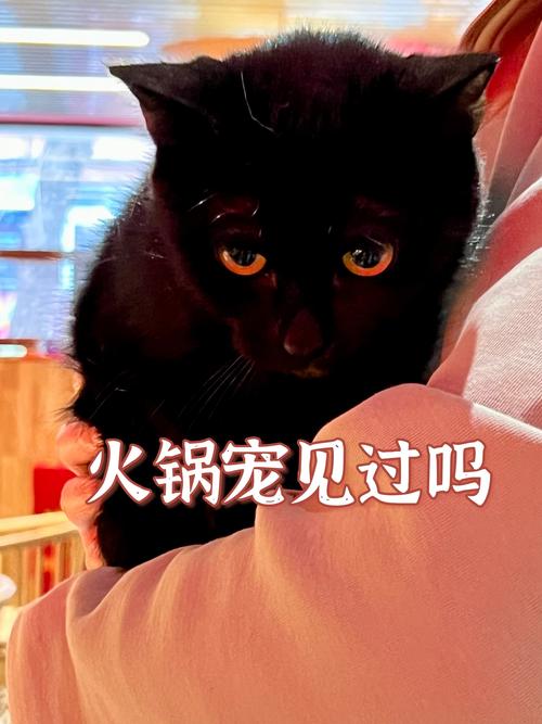 admin 第61页