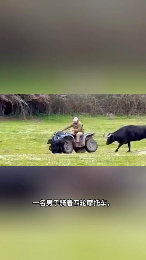 admin 第59页