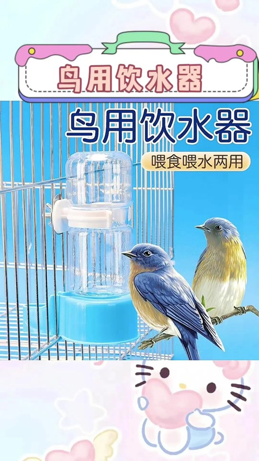 鹦鹉开饮水器喝水,鹦鹉开饮水器喝水好吗